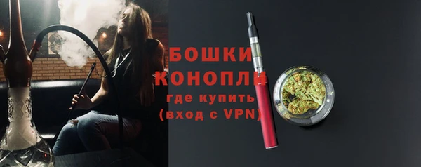 стаф Краснослободск