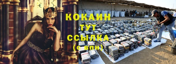 стаф Краснослободск
