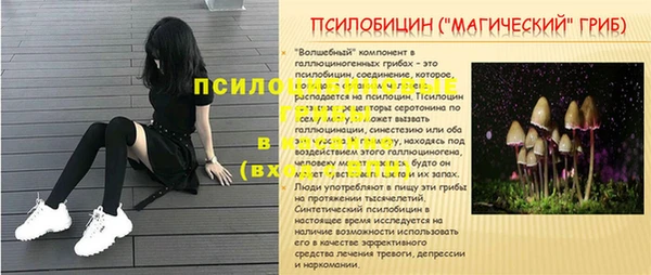 стаф Краснослободск