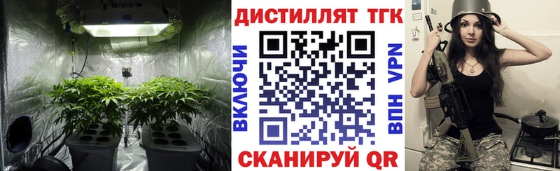 blacksprut онион  Новокубанск  Дистиллят ТГК вейп с тгк 